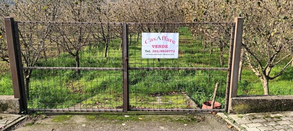 terreno agricolo in vendita a Montoro in zona Piano