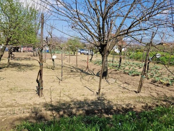 terreno agricolo in vendita a Montoro in zona Piano