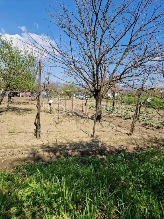 terreno agricolo in vendita a Montoro