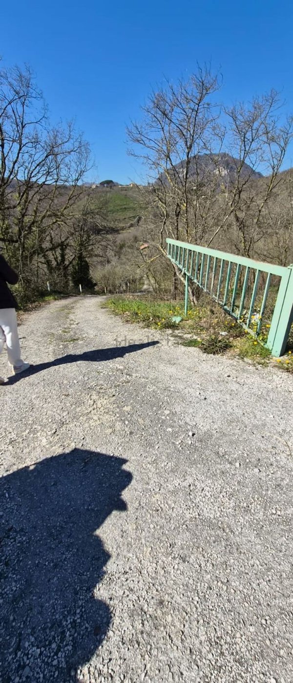 terreno agricolo in vendita a Montoro