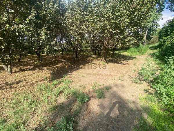 terreno in vendita a Montoro in zona Misciano