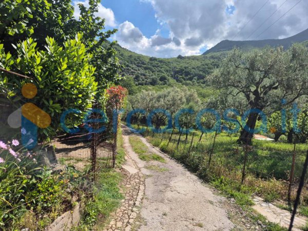 appartamento in vendita a Montoro in zona Aterrana