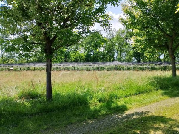 casa indipendente in vendita a Bagnolo Piemonte