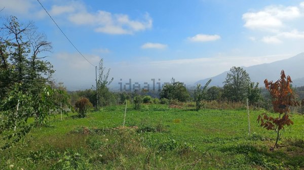 terreno agricolo in vendita a Bagnolo Piemonte