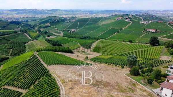 terreno edificabile in vendita a Barbaresco