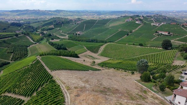 terreno edificabile in vendita a Barbaresco