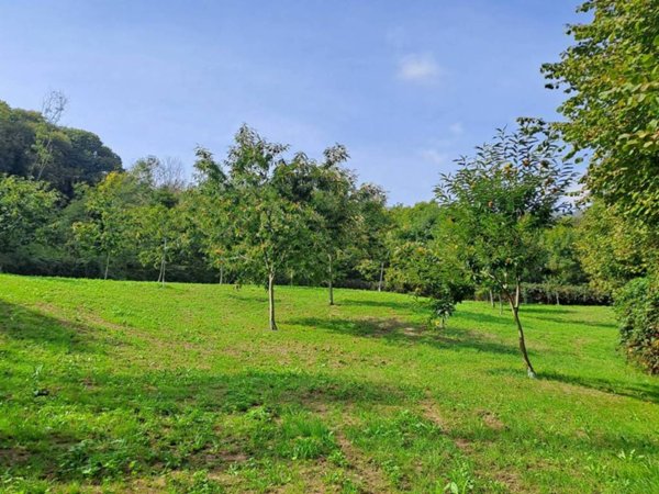 terreno agricolo in vendita a Barge