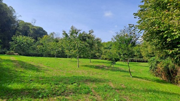 terreno agricolo in vendita a Barge