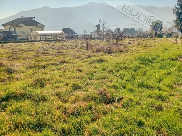 immagine annuncio 0 di 15