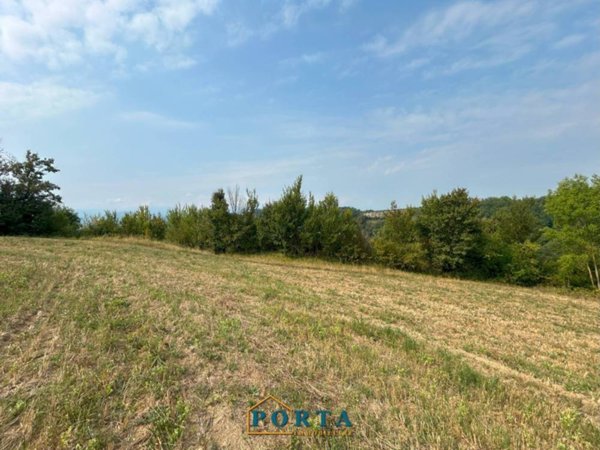terreno agricolo in vendita a Barolo