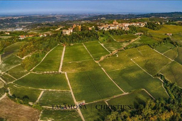 ufficio in vendita a Barolo