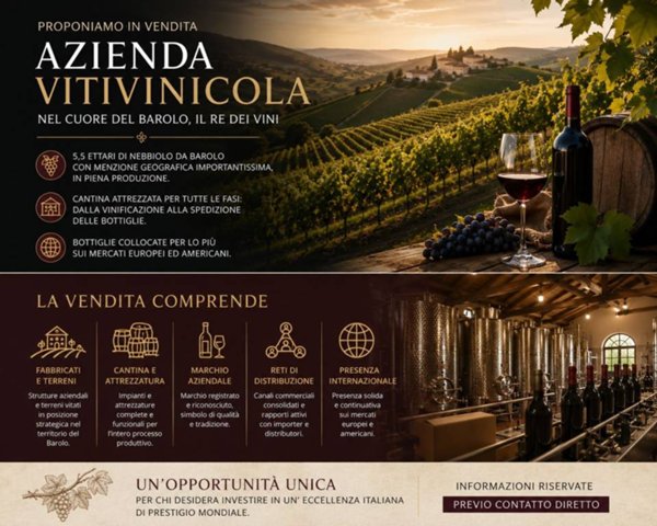 azienda agricola in vendita a Barolo