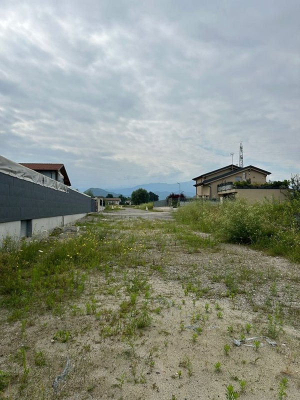 immagine annuncio 0 di 1