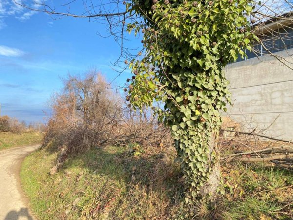 terreno agricolo in vendita a Beinette