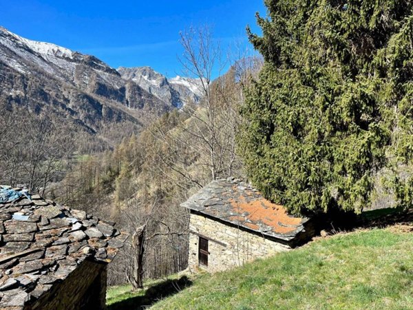 casa indipendente in vendita a Bellino