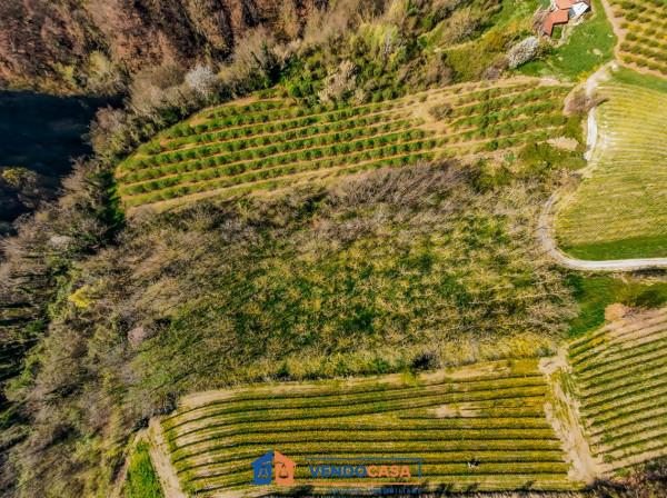 ufficio in vendita a Belvedere Langhe