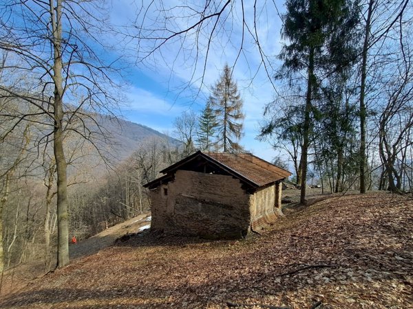 quadrivano in vendita a Bernezzo