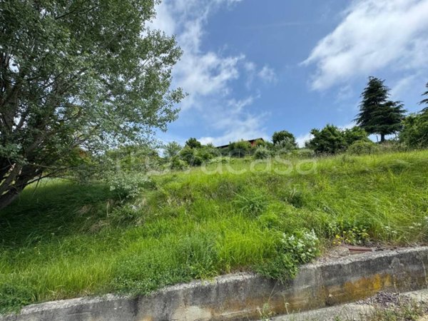 terreno agricolo in vendita a Borgomale