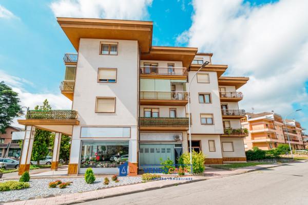 appartamento in vendita a Borgo San Dalmazzo