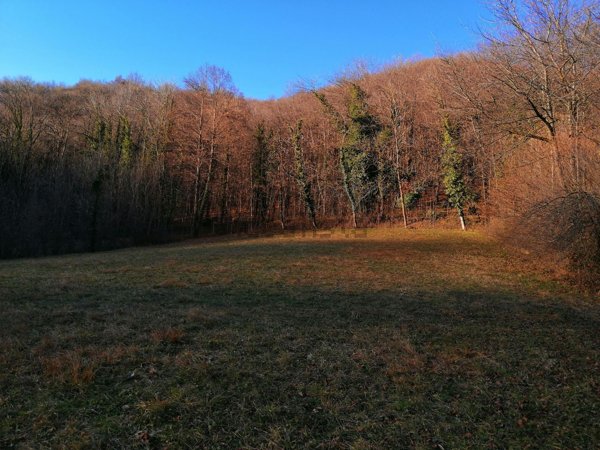 terreno edificabile in vendita a Borgo San Dalmazzo in zona Madonna Bruna