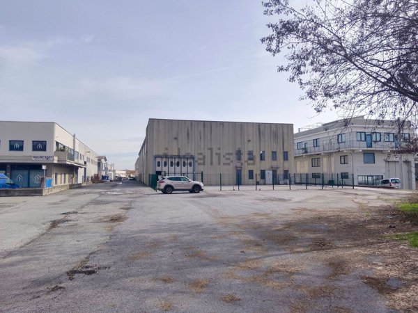 ufficio in vendita a Borgo San Dalmazzo