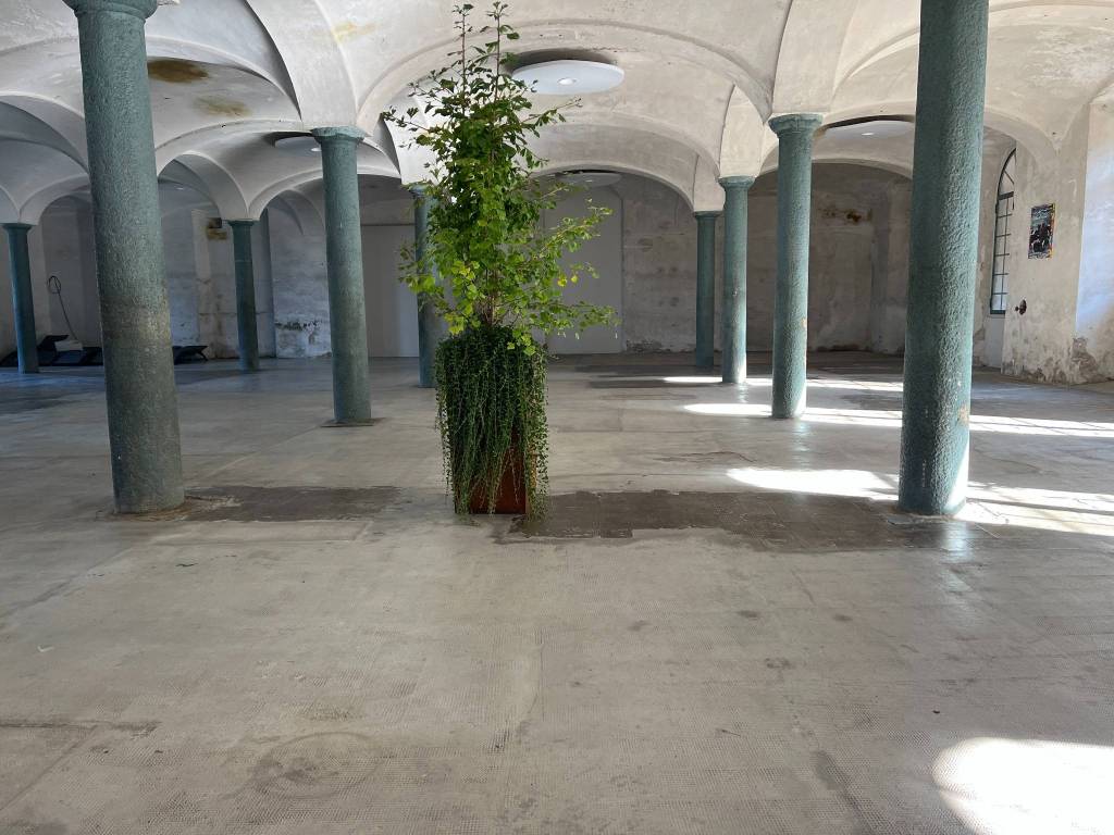 intera palazzina in vendita a Boves