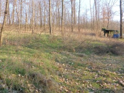 terreno agricolo in vendita a Bra