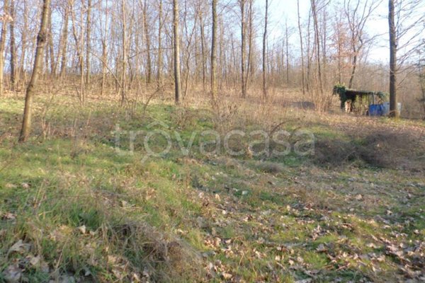 terreno agricolo in vendita a Bra in zona Bandito