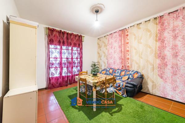 immagine annuncio 0 di 15