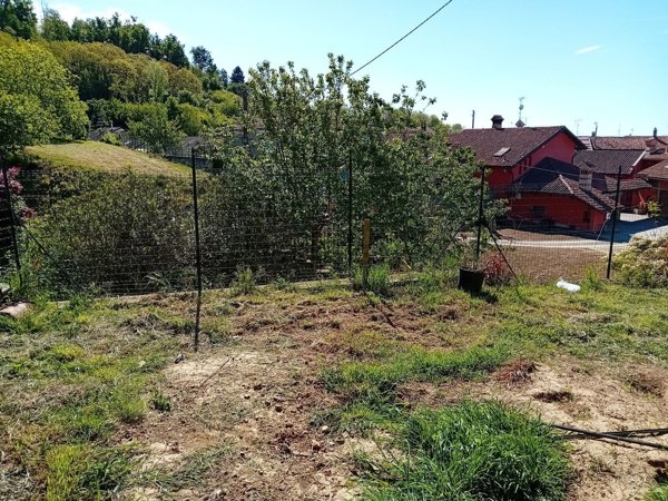 esavano in vendita a Bra