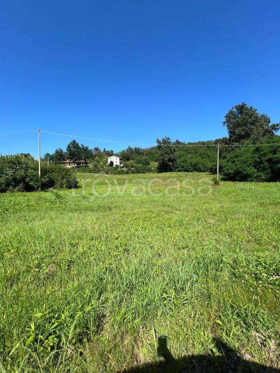 terreno edificabile in vendita a Bra in zona Pollenzo