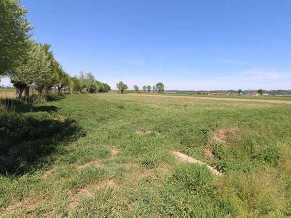 terreno agricolo in vendita a Bra