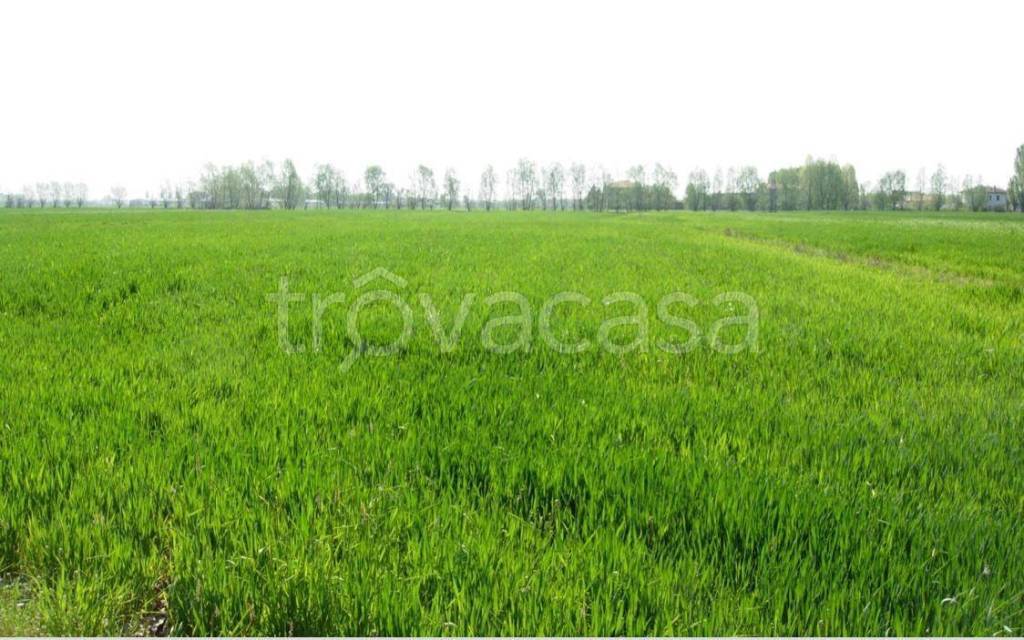 terreno edificabile in vendita a Bra