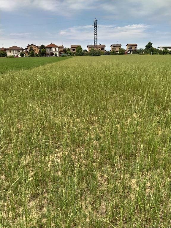 terreno edificabile in vendita a Bra in zona Falchetto