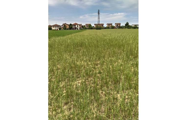 terreno edificabile in vendita a Bra in zona Falchetto