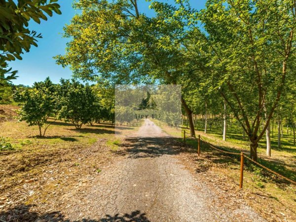 casa indipendente in vendita a Bra in zona San Michele