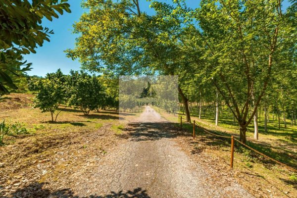casa indipendente in vendita a Bra in zona San Michele
