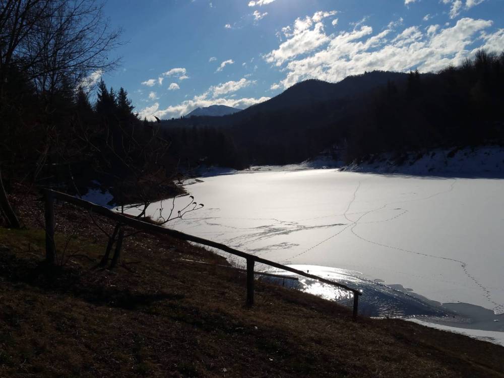terreno agricolo in vendita a Briaglia