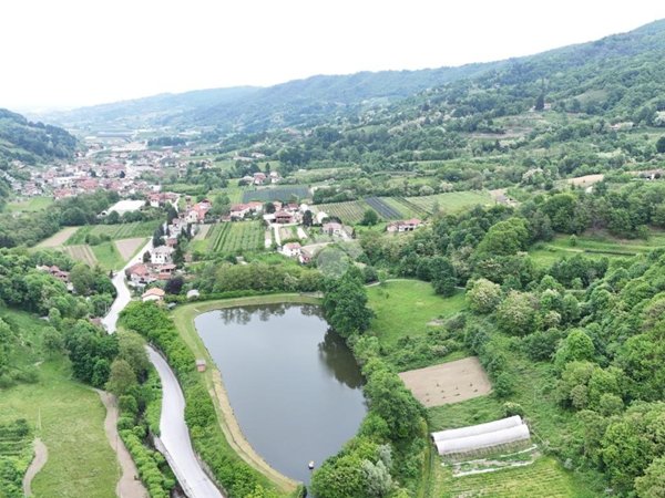terreno agricolo in vendita a Brondello