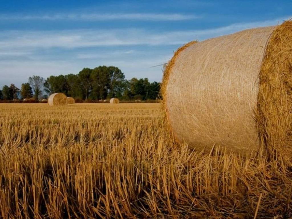 terreno agricolo in vendita a Busca in zona Morra San Giovanni