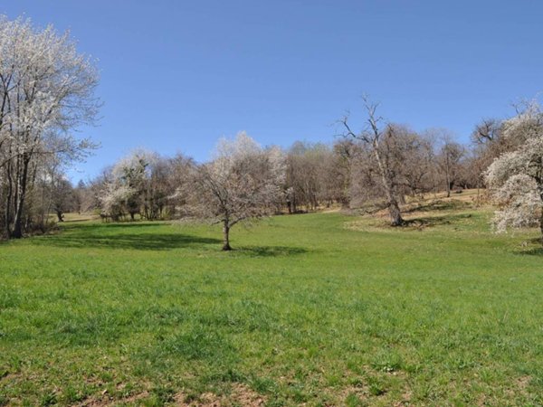 terreno agricolo in vendita a Busca in zona Bosco