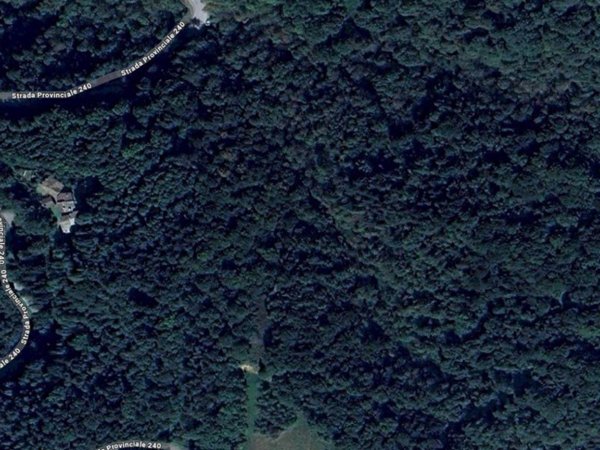 terreno agricolo in vendita a Busca