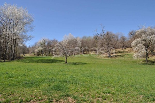 terreno agricolo in vendita a Busca in zona Bosco