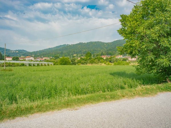terreno agricolo in vendita a Busca