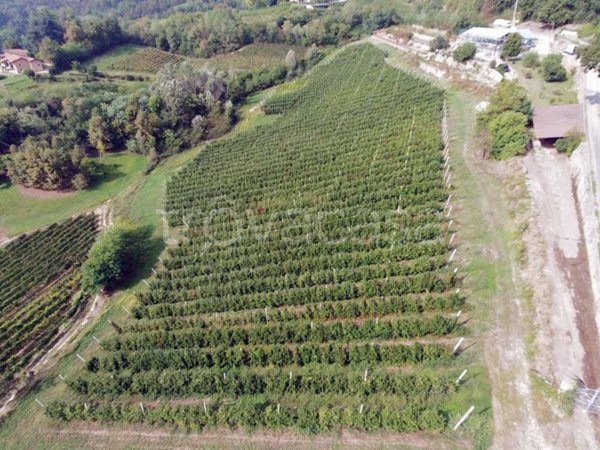 terreno agricolo in vendita a Busca in zona San Martino