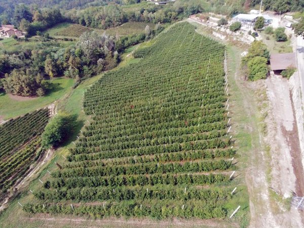 terreno in vendita a Busca in zona San Martino