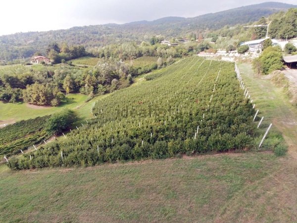 terreno agricolo in vendita a Busca in zona San Martino
