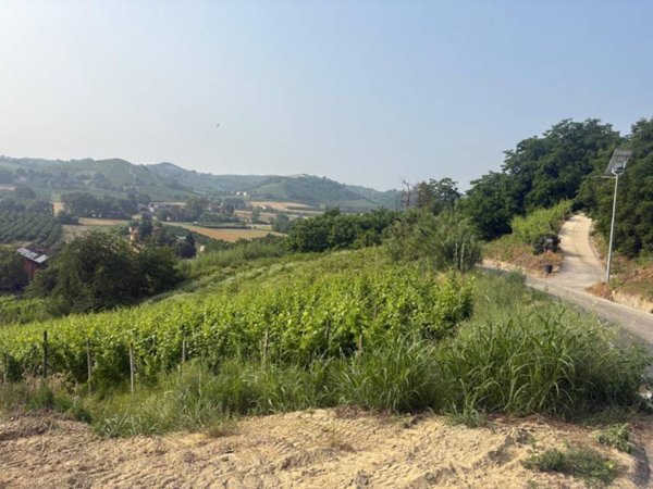 terreno agricolo in vendita a Canale