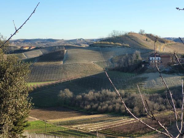 terreno edificabile in vendita a Canale