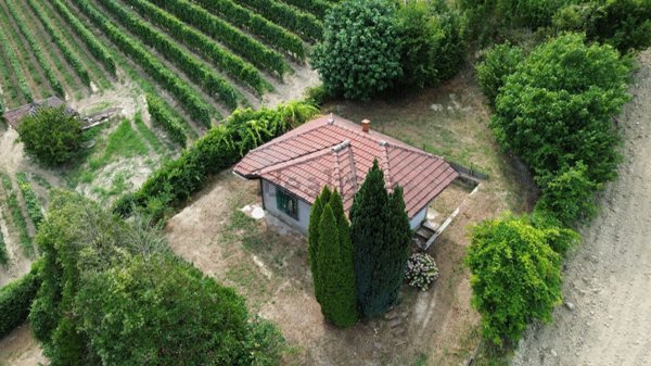 appartamento in vendita a Canale